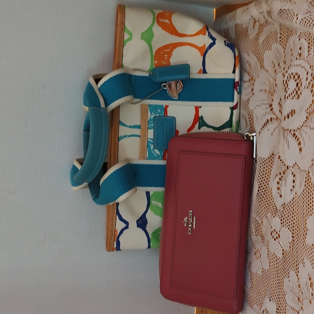 Coach Mini scribble with a coach accordion wallet